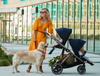 La Carriola Ideal para Familias en Crecimiento