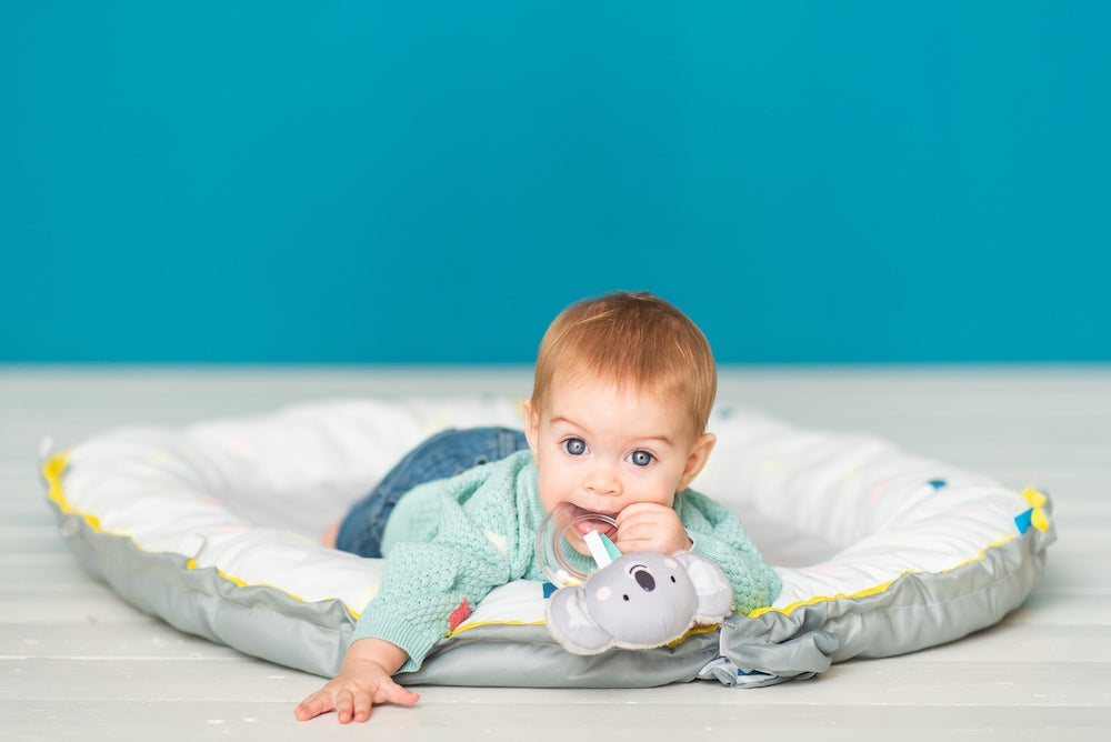TAF TOYS - Sonaja Kimmy el Koala